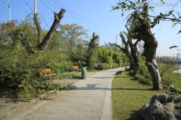城市风景