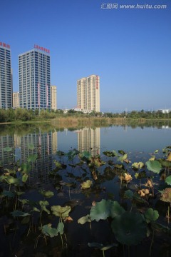 武宁城市风光