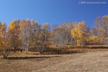 坝上风光