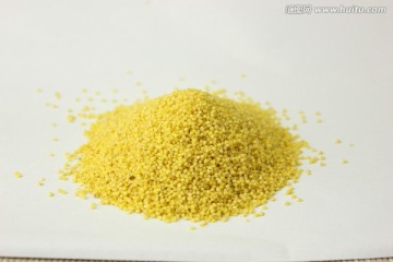 黄色小米摄影素材图片