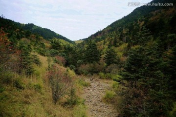 湖北神农架神农顶山谷