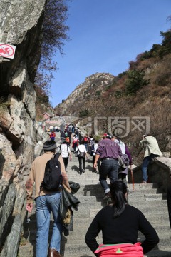 登泰山