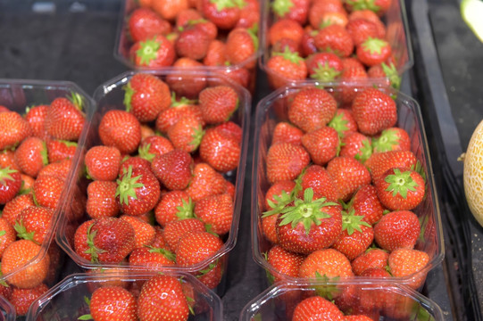 荷兰超市果蔬 草莓