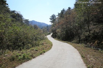林中道路