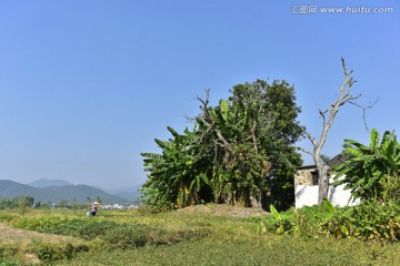 乡村田园风光