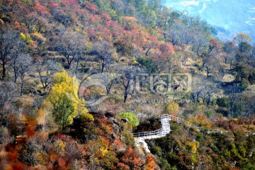 百花山