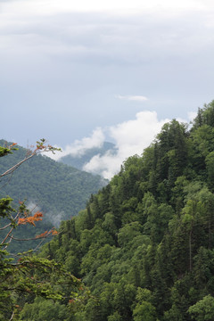 青山 山峦