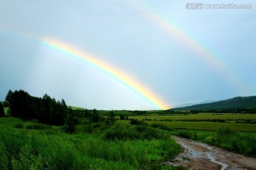 夏季森林天空彩虹