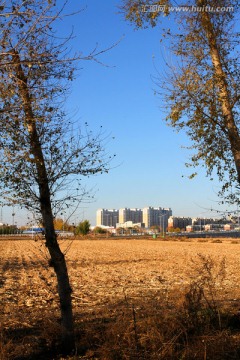 秋天 田野