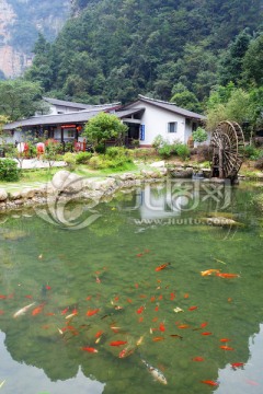 张家界园林风光