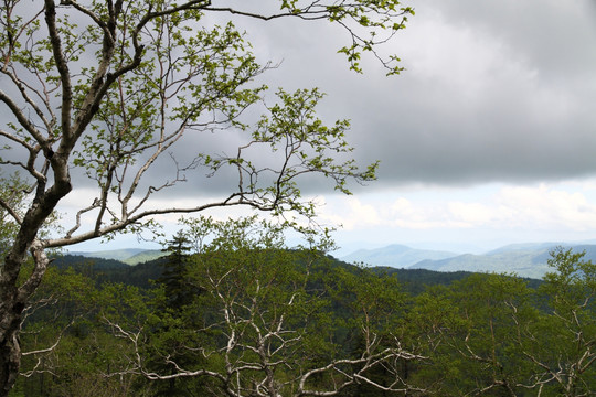 山区 远山