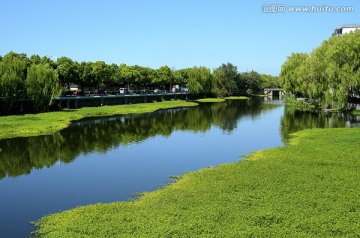 长满水草的河道