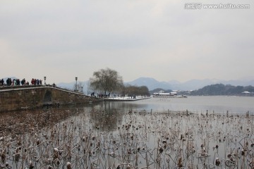 断桥残雪