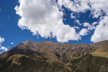 秋天的玉树 柏树 山峦起伏