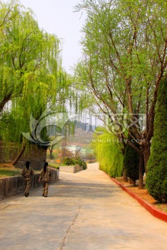 厂区风景 公园风景