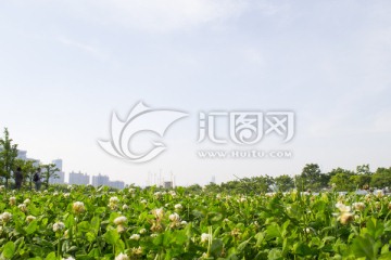 绿色生活