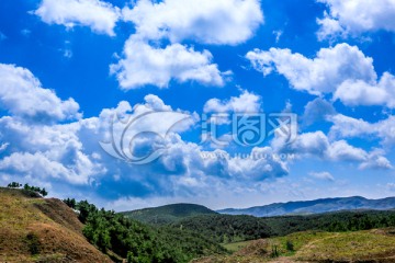 高山牧场