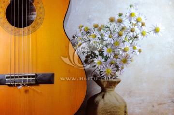 乐器和花卉