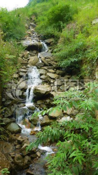 溪水和石头 水草 水花