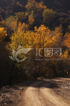 秋天的山路