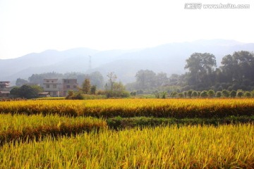 田园秋色