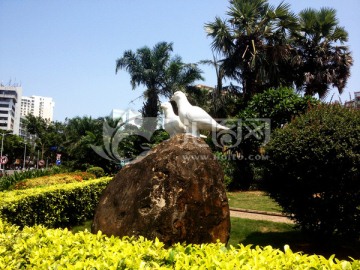 白鸽 雕塑