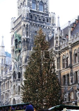 节日街头的圣诞树