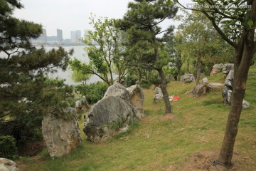 园林 风景