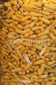 玉米堆
