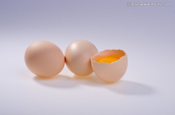 鸡蛋摄影素材