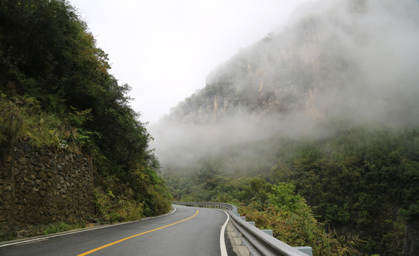 神龙架林区 山路弯弯