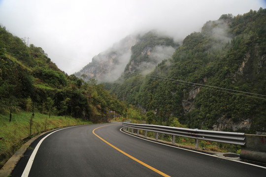 神龙架林区 山路弯弯