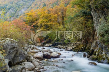 四川理县孟屯河谷秋色