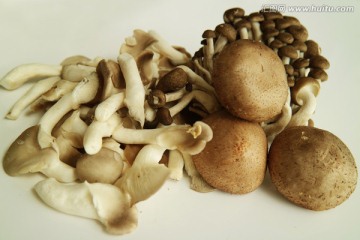 菌菇 香菇 秀珍菇 蟹味菇