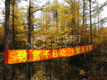 秋季森林防火宣传横幅