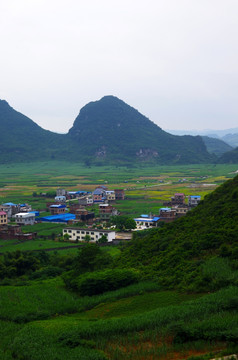 美丽乡村 乡村风景 田园风光