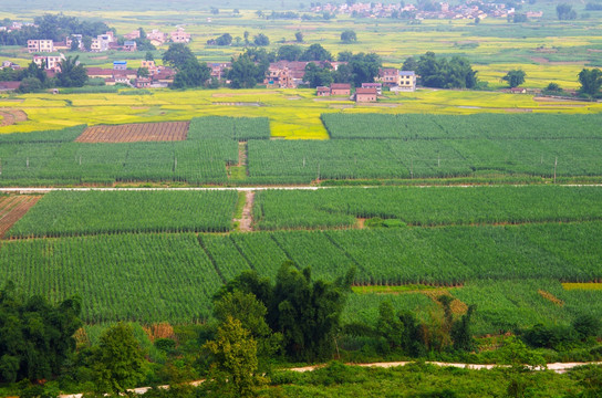 美丽乡村 乡村风景 田园风光