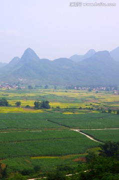 美丽乡村 乡村风景 田园风光