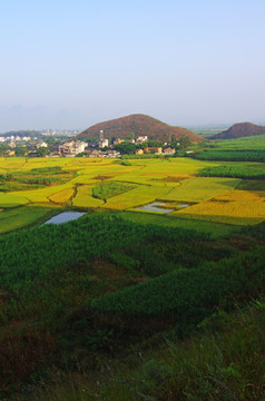 田园 田野 田园风景