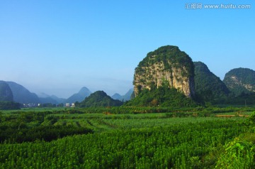 自然风光 田野风光