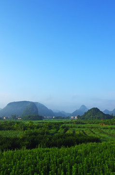 自然风光 田野风光 生态