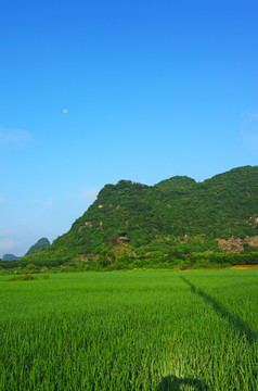 生态 环保 蓝天 自然风景