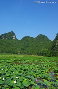 生态 环保 蓝天 自然风景