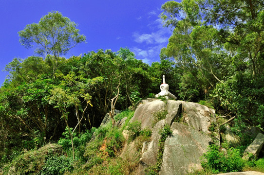 山林风光