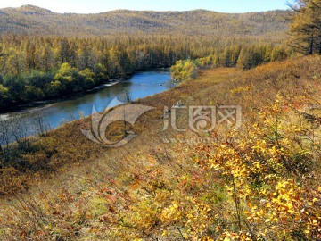 秋季的大兴安岭森林河流