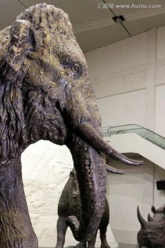 雕塑 猛犸象