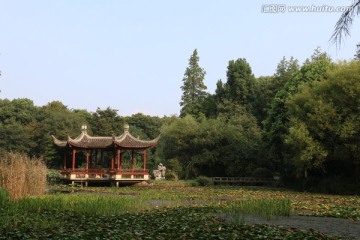 武汉植物园风景