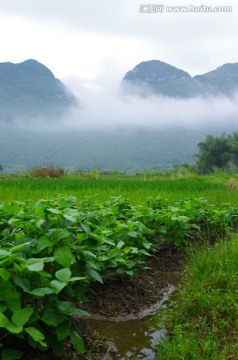 云雾 雾景