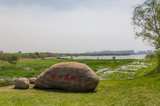 河口湿地