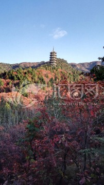 红叶谷